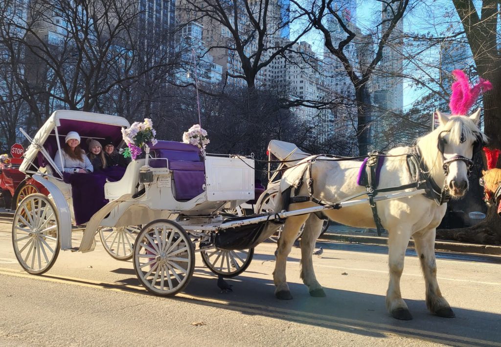 carriage ride in central park